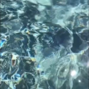 Meet your Posher, Leilani